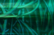 Earth link