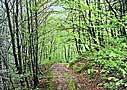La Correze